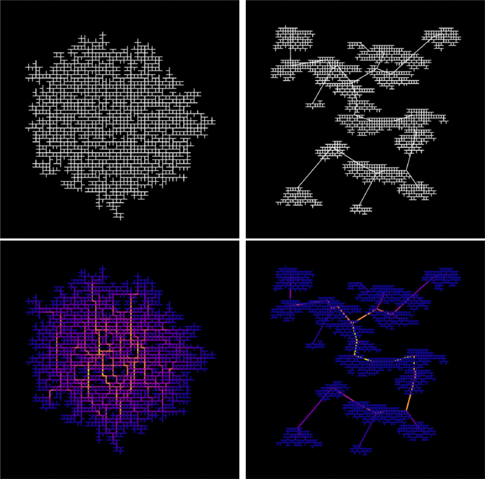 Two different networks with both having an equivalent density p=0.5 (N=4000).
On the left, we show a random Eden-like model, and below, the corresponding
distribution of the Gini coefficient. In this case the Gini coefficient of the
BC is G=0.51, and the spatial Gini is Gspa=0.26. On the right, we show the
result for our model based on the MST and the corresponding BC map. The BC Gini
is here equal to G=0.72, and the spatial Gini Gspa=0.40.