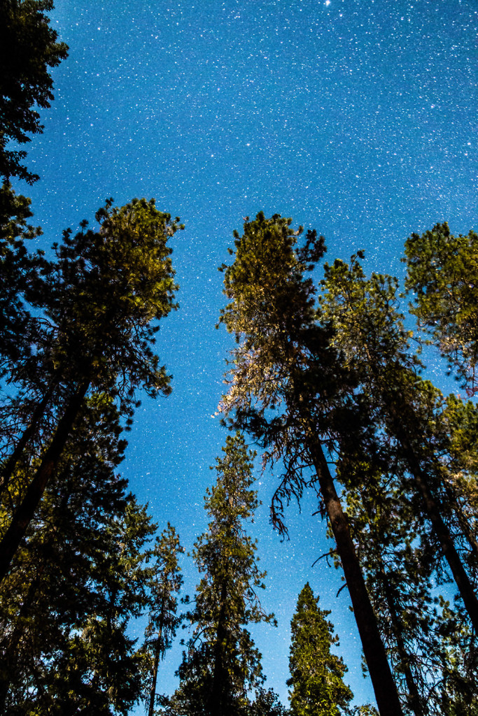 Stars in the night sky from Indian Mary park in southern Oregon